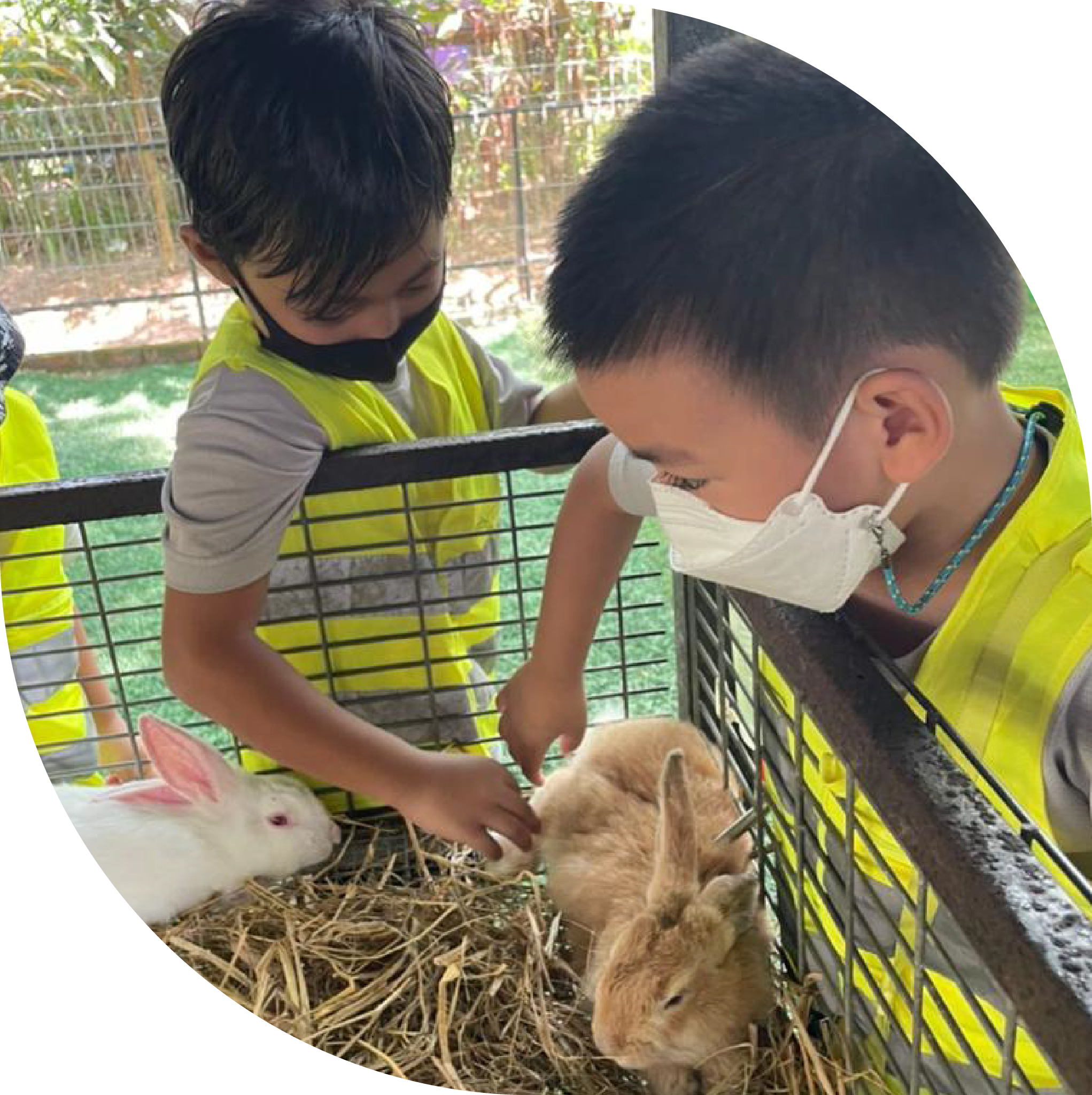 Friends and Animals-01-01